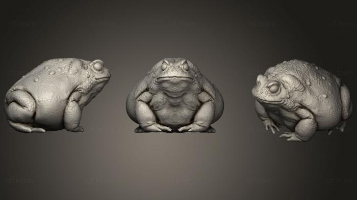 Скульптура жабы